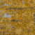 Golden 05