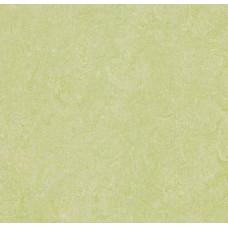 Натуральный линолеум Forbo Marmoleum Real (2,5 мм) 3881 green wellness