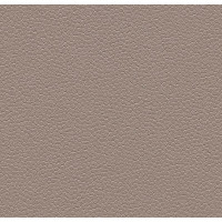 Линолеум ПВХ FORBO Safestep Aqua 180232 taupe Линолеум ПВХ FORBO Safestep Aqua 180232 taupe