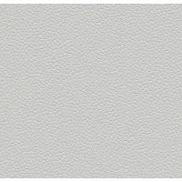 Линолеум ПВХ FORBO Safestep Aqua 180262 trout Линолеум ПВХ FORBO Safestep Aqua 180262 trout