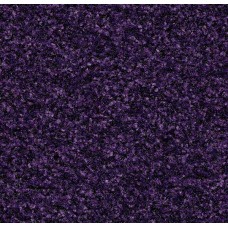 Грязезащитное покрытие Coral Brush 5709 royal purple (FORBO)