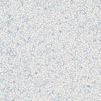 Static Pulse C 6202 Static Pulse C 6202