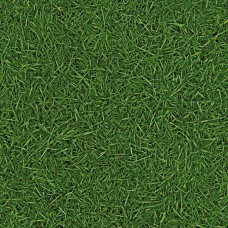 Линолеум IVC VISION Grass T25